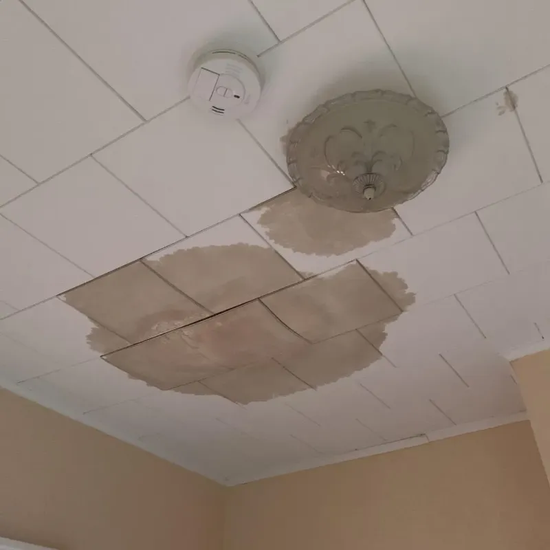 Ceiling Water Damage Repair in Morgantown, WV
