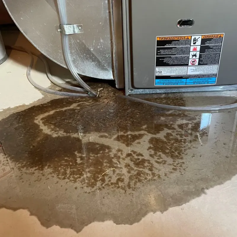 Pipe Burst and Leak Restoration in Morgantown, WV